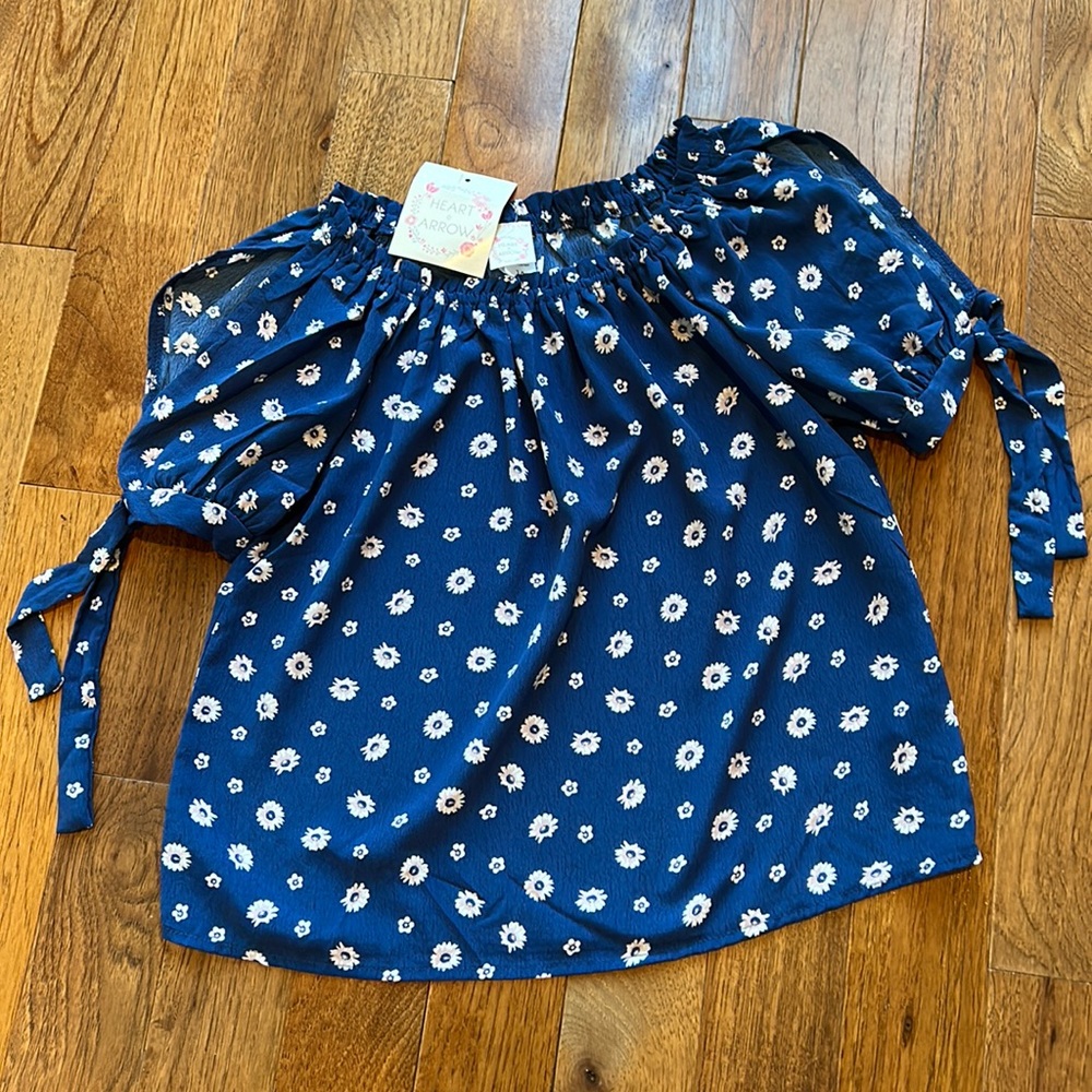 New with Tags Blue Floral Top